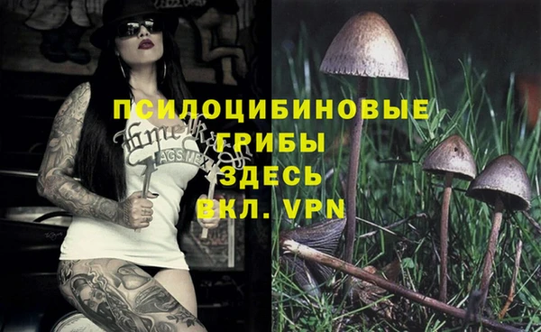 амф Вязники